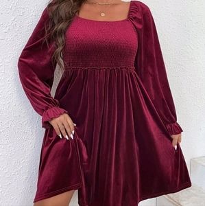 Never worn burgundy velvet dress